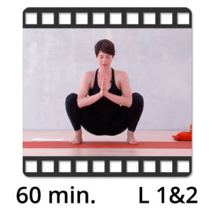 Yoga Video kaufen Download