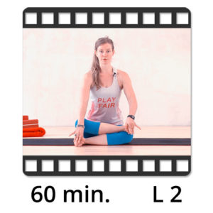 Yoga Video kaufen Download