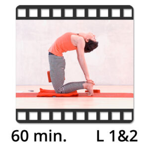 Yoga Video kaufen Download