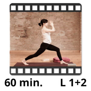 yoga video sandra winkens yogafürdich