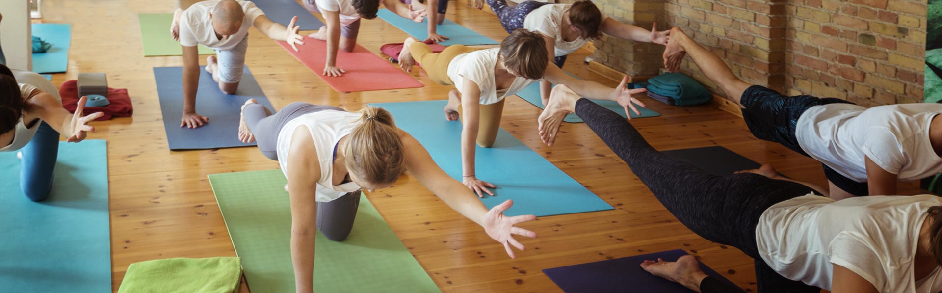 yogafürdich News yogafürdich News