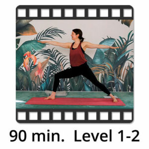 Download Yoga Video Power Vinyasa Flow Level 1-2 Katharina Knoll