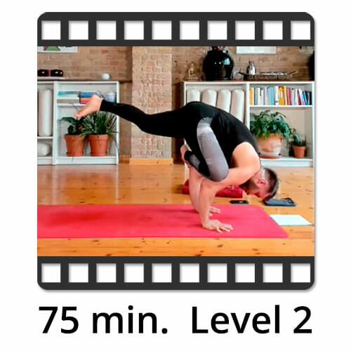 Download Yoga Video Power Vinyasa Flow Level 2 Mate Granic