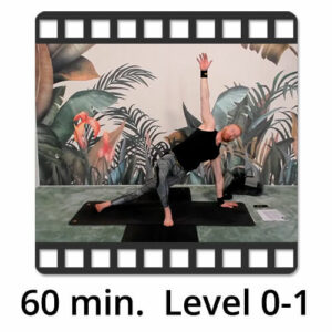Download Yoga Video Power Vinyasa Flow Level 0-1 Victor Thiele