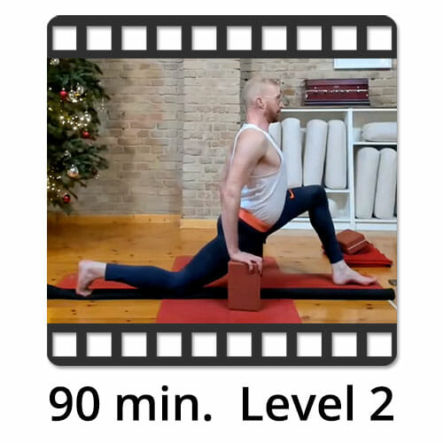 Download Yoga Video Power Vinyasa Flow Level 2 Victor Thiele