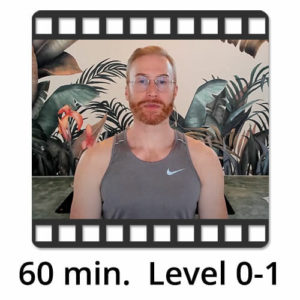 Download Yoga Video Power Vinyasa Flow Level 0-1 Victor Thiele