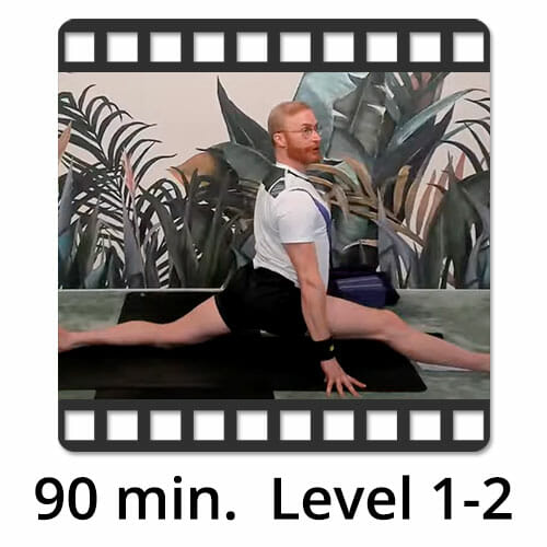 Download Yoga Video Power Vinyasa Flow Level 1-2 Victor Thiele