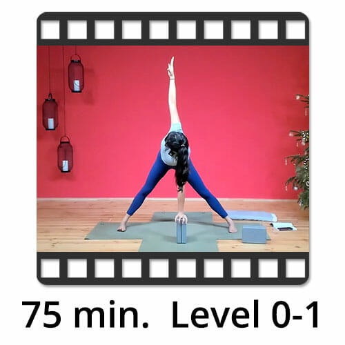 Download Yoga Video Power Vinyasa Flow Level 1-2 Lina Alonso