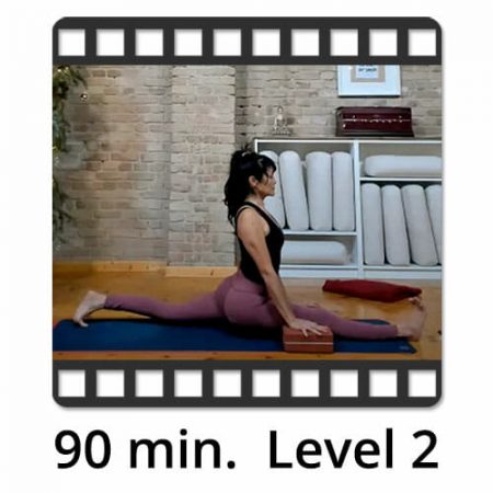 Download Yoga Video Power Vinyasa Flow Level 1-2 Lina Alonso
