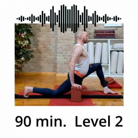 Download Yoga Audio Power Vinyasa Flow Level 2 Victor Thiele