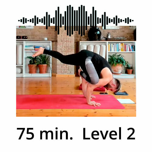 Download Yoga Audio Power Vinyasa Flow Level 2 Mate Granic