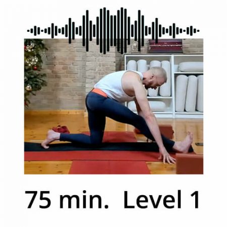 Download Yoga Audio Power Vinyasa Flow Level 1 Victor Thiele