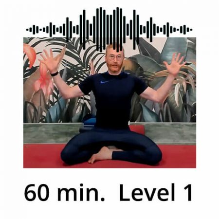 Download Yoga Audio Power Vinyasa Flow Level 1 Victor Thiele