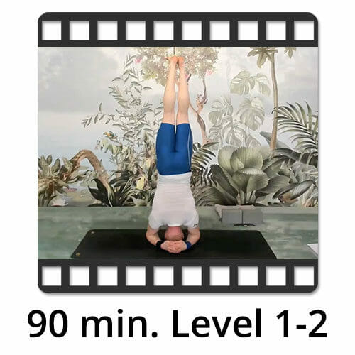 Download Yoga Video Power Vinyasa Flow Victor Thiele